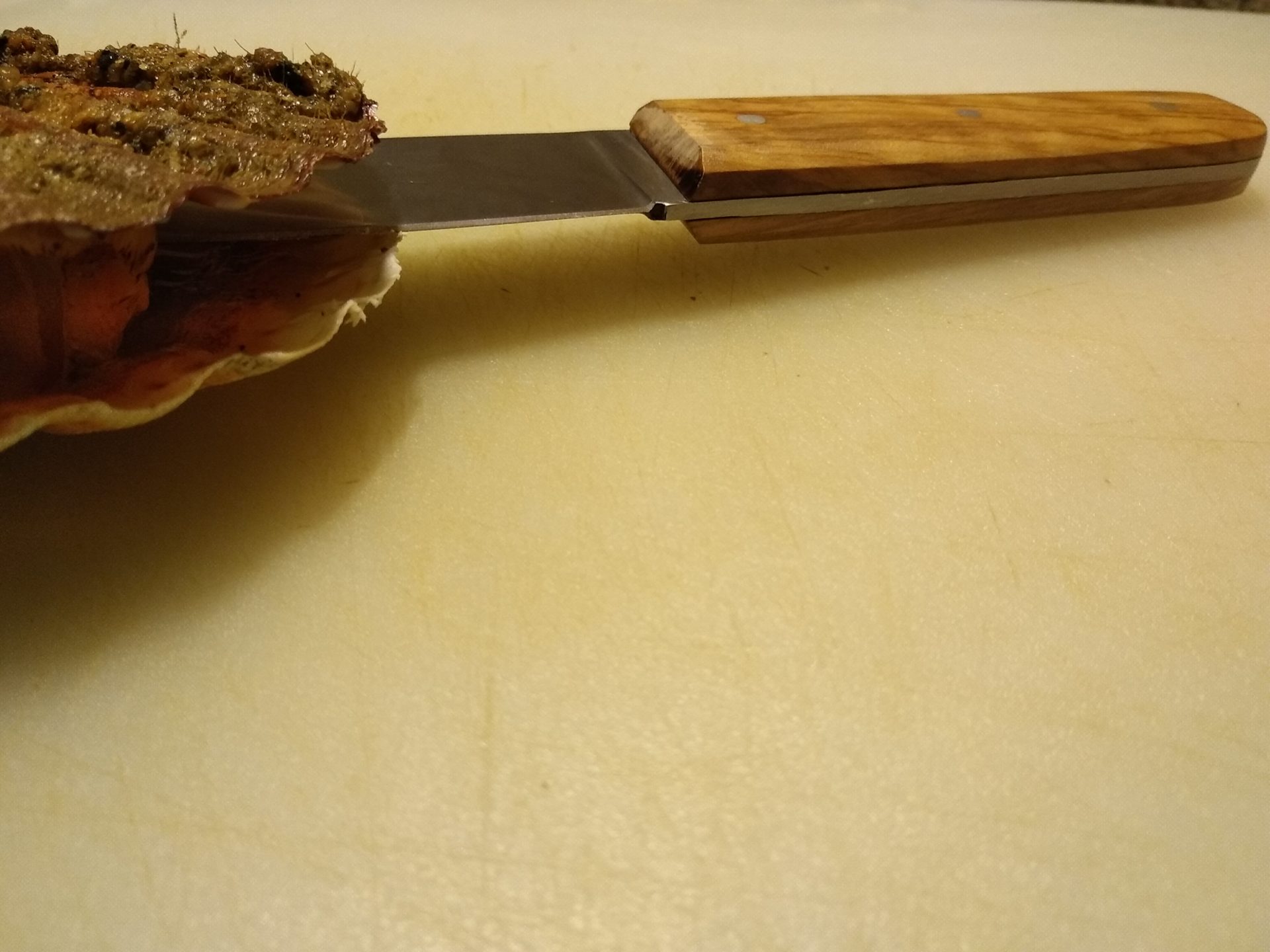 Ustensile de cuisine couteau coquille St Jacques